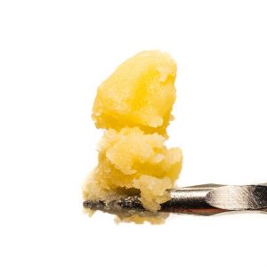 Apple Fritter Live Resin Badder
