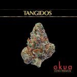 Tangidos