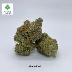 Kimbo Kush