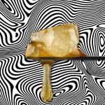 Korova Live Resin Diamonds and Terp Sauce - Legend Orange Apricot