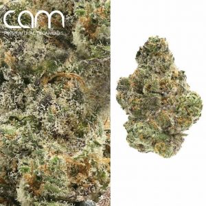 CAM Apple Pie - Indoor (14g)