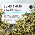 Sumo Smash-Ready to Roll-21g