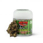 Melon Brainz