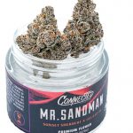 Mr. Sandman - Indoor