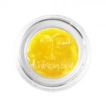 Kosher Funk Live Sauce