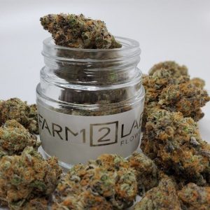 Sundae Driver 1/8th Jar