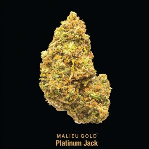 Malibu Gold - Platinum Jack 8th
