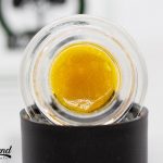 Lemon Meringue Live Sugar