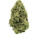 Goo Gun grown by South Slope Farms