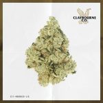 Professor Chaos (14g) - Private Stock