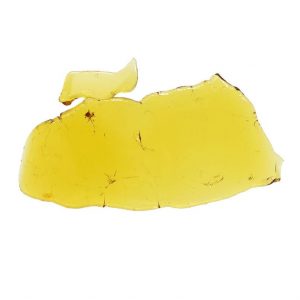 GT Dragon x The White Platinum Shatter 1g