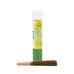 Wolfie 1G Pre-Roll (Ancient OG / 24K)