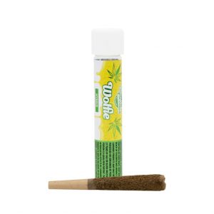 Wolfie 1G Pre-Roll (Ancient OG / 24K)