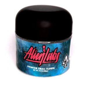 Sherbacio - Indoor - 7g Smalls