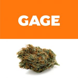 Strawberry Fire OG 3.5G Jar