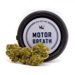 Motor Breath 1/8th Canned Flower (3.5g)