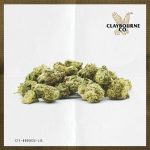 Cherry AK (28g) - Small Buds