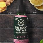 SETTLE for Nausea Tincture 2:1 CBD:THC 270mg