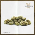 Triple OG (14g) - Small Buds