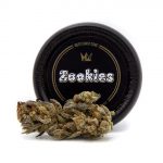 Zookies 1/8th Canned Flower (3.5g)