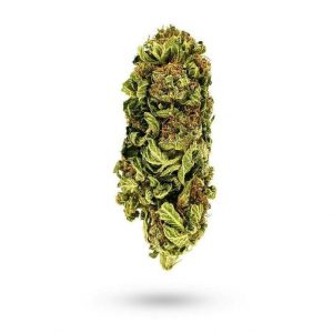 Cheesecake 14.94% THC