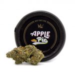 Apple Pie 1/8th Canned Flower (3.5g)