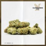 Watermelon Zkittlez (14g) - Small Buds