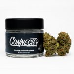 Mr. Sandman - Sungrown