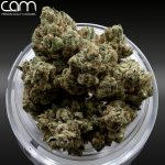 CAM Hell's OG - Indoor (3.5g)