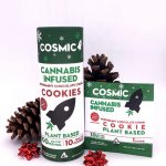 Peppermint Chocolate Chunk Cookie Single 10MG