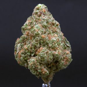 Great White Shark (3.5 Grams)