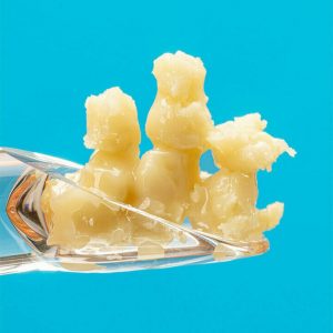 SOUR BUTTER BREATH LIVE ROSIN 90u-149u