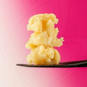 Malibu Marsha LIVE ROSIN 70u-149u