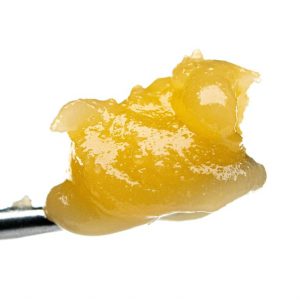 Tally Mon Badder SAVAGE X MEDCARE FARMS