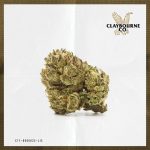 Watermelon Zkittlez (3.5g)