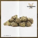 Champagne Wedding (14g) - Small Buds