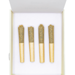 10 Pack - .3g Hash Infused Pre Rolls