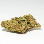 1/8th Paradise Citrus 3.5G (26% THC) - Hybrid