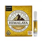 Pineapple (Live Sauce) Cartridge - 1G