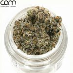 CAM Cookie Dough - Indoor (3.5g)