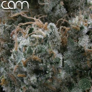 CAM 92 OG - Indoor (3.5g)