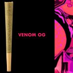 Korova - Venom OG Preroll 1g