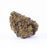 Terry T x Gelato 33 (2:1 CBD) - 3.5g