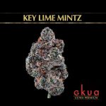 Key Lime Mintz