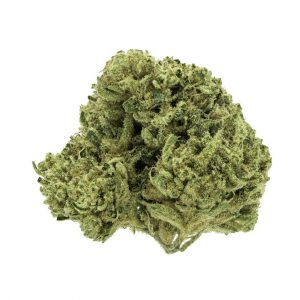 Platinum OG grown by Green Mountain Ranch