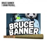 Bruce Banner - Preroll