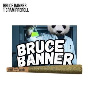 Bruce Banner - Preroll