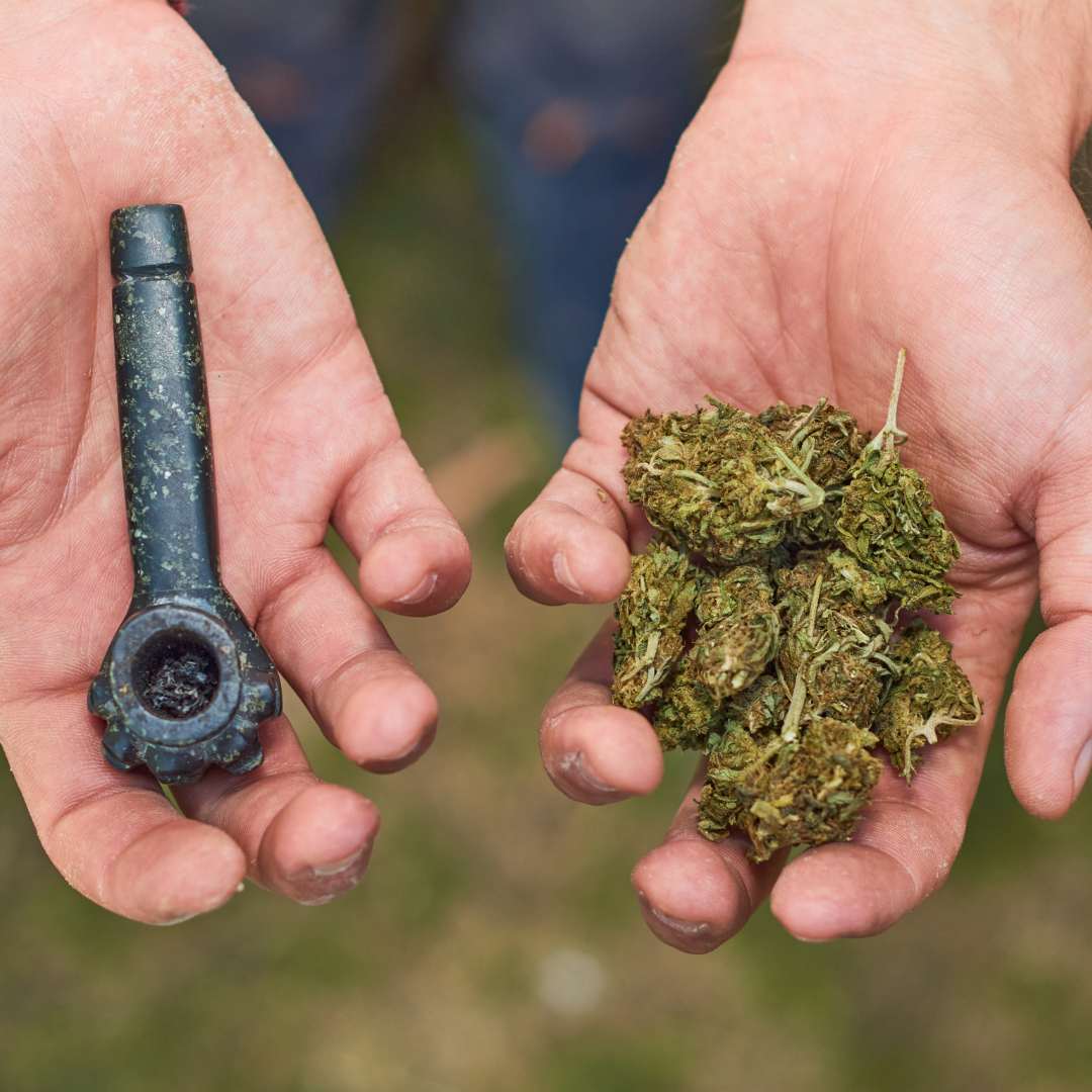 What is Cannabis Delivery and Why is it More Popular in