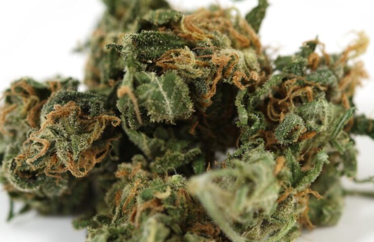Laval same-day weed delivery