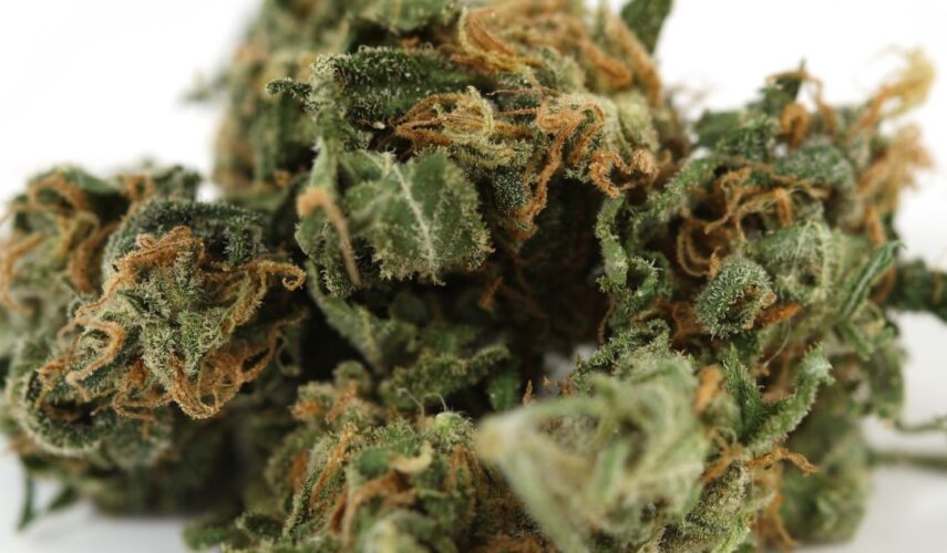 Laval same-day weed delivery